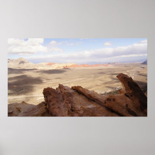 Desert Plain Poster (Voorkant)