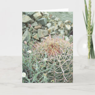 Desert poëzie Cactus Note Card of Wenskaart Kaart
