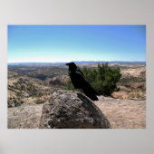 Desert Raven Poster (Voorkant)