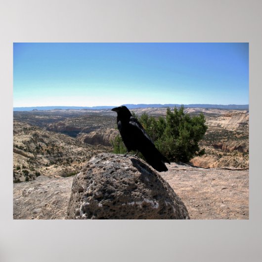 Desert Raven Poster (Voorkant)