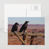 Desert Ravens Briefkaart (Voorkant / Achterkant)