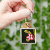 Desert-Roos (Adenium Obesum), Zuid-Afrika Sleutelhanger (Hand)