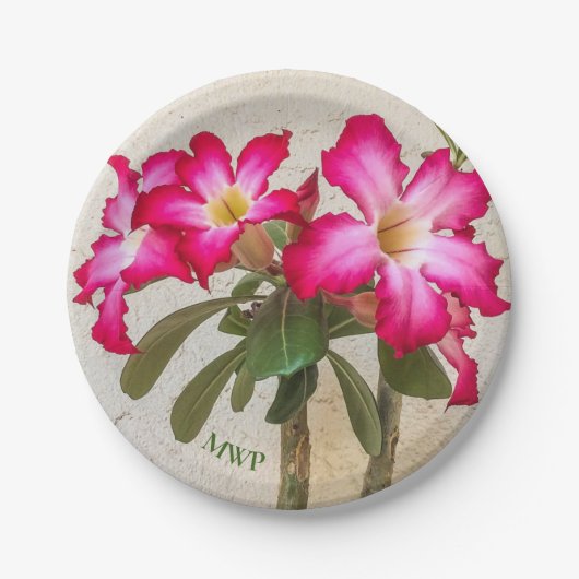 Desert Roos Bloemen Papier Bord (Voorkant)