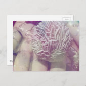 Desert Rose Briefkaart (Voorkant / Achterkant)