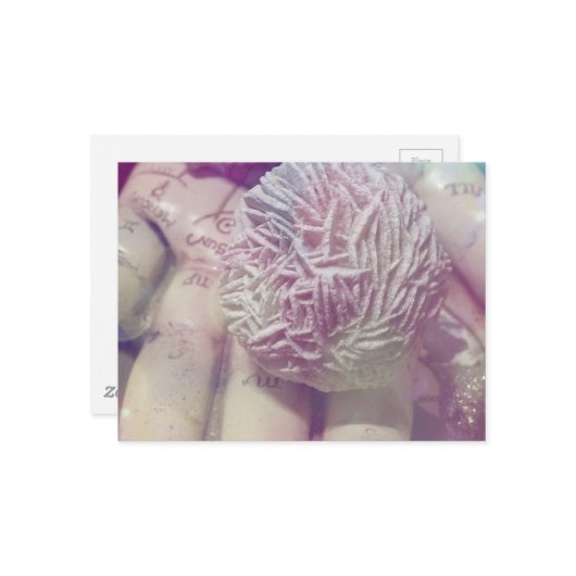 Desert Rose Briefkaart (Voorkant / Achterkant in situ)