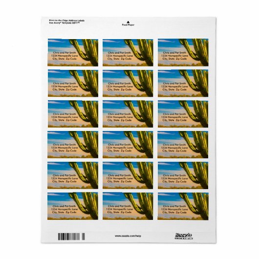 Desert Saguaro Cactus Oude West Cartoon Sjabloon Etiket (Full Sheet)