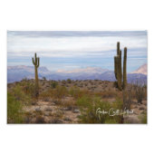 Desert Saguaro Foto Afdruk (Voorkant)