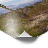 Desert Saguaro Foto Afdruk (Hoek)