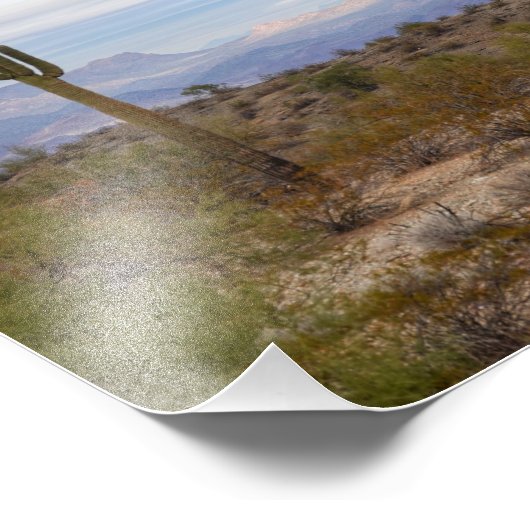 Desert Saguaro Foto Afdruk (Hoek)