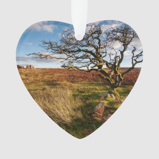 Desert Savannah Dated Photo Custom Ornament (voorkant)