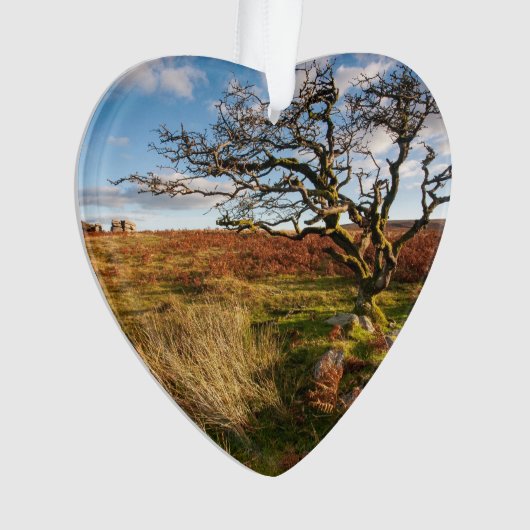 Desert Savannah Dated Photo Custom Ornament (voorkant)