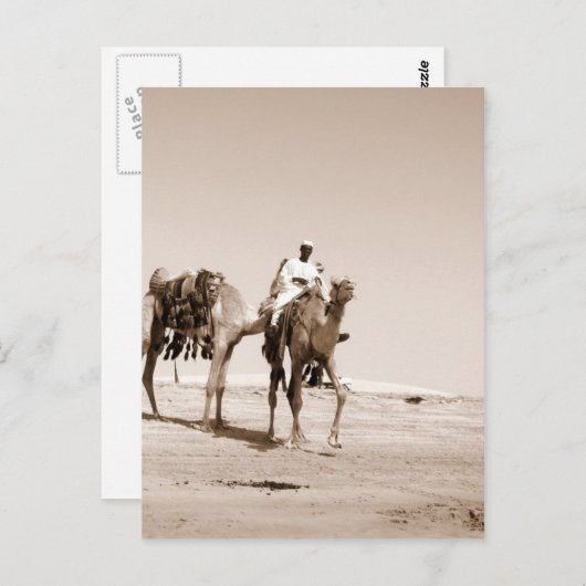 Desert Scene Briefkaart (Voorkant / Achterkant)