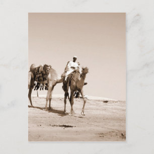 Desert Scene Briefkaart