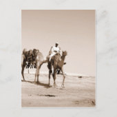 Desert Scene Briefkaart (Voorkant)