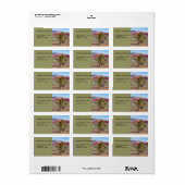 Desert Scene Landschap Retouradres Etiket (Full Sheet)