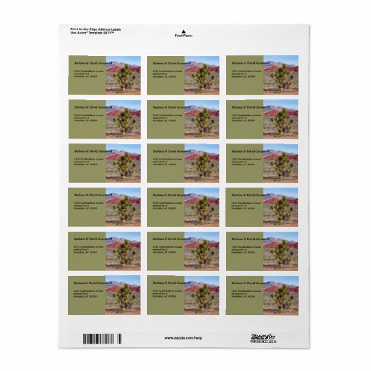 Desert Scene Landschap Retouradres Etiket (Full Sheet)