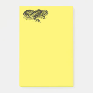 Desert Snake Post-it® Notes