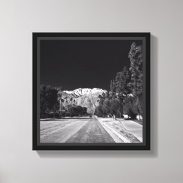 Desert Snow-Rancho Mirage, CA van Tom Masters Canvas Afdruk