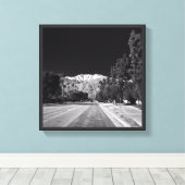 Desert Snow-Rancho Mirage, CA van Tom Masters Canvas Afdruk (Insitu (Houten vloer))