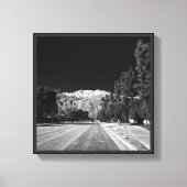 Desert Snow-Rancho Mirage, CA van Tom Masters Canvas Afdruk (Voorkant)