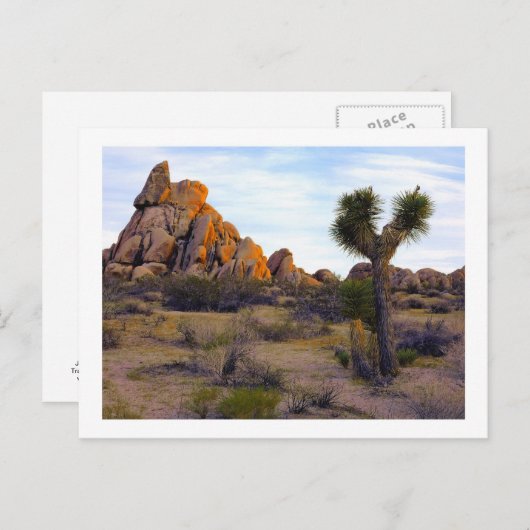 " Desert Soft Light " Briefkaart (Voorkant / Achterkant)
