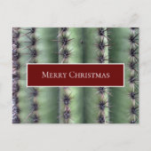 Desert Southwest Kerstcactus Briefkaart (Voorkant)