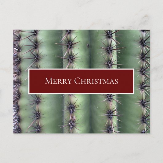 Desert Southwest Kerstcactus Briefkaart (Voorkant)