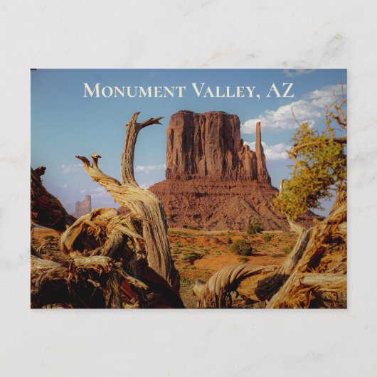 Desert Southwest Monument Valley Arizona Briefkaart (Voorkant)