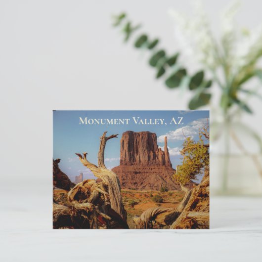 Desert Southwest Monument Valley Arizona Briefkaart (Staand voorkant)
