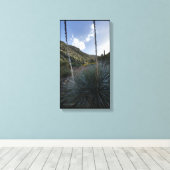 Desert Southwest Sotol Planten Schilderachtig Afbe Canvas Afdruk (Insitu (Houten vloer))