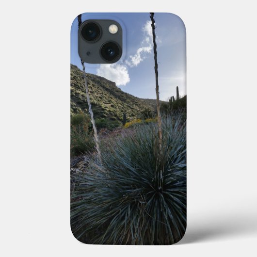 Desert Southwest Sotol Planten Schilderachtig Afbe Case-Mate iPhone Case (Achterkant)