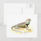 Desert Spiny Lizard Briefkaart (Voorkant / Achterkant)