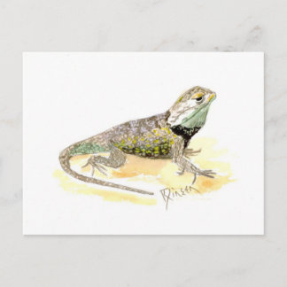 Desert Spiny Lizard Briefkaart