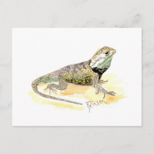 Desert Spiny Lizard Briefkaart (Voorkant)