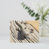 Desert Spiny Lizard Briefkaart (Staand voorkant)