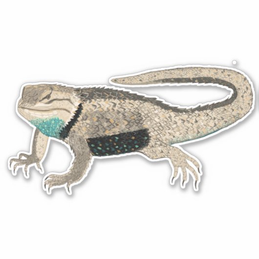Desert Spiny Lizard Colour Pencil Natuur Art Sticker (Voorkant)