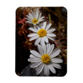 Desert Star Wildbloemen Magneet (Verticaal)