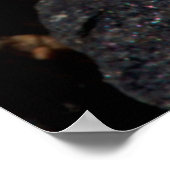 Desert Star Wildbloemen Poster (Hoek)