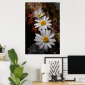 Desert Star Wildbloemen Poster (Thuiskantoor)
