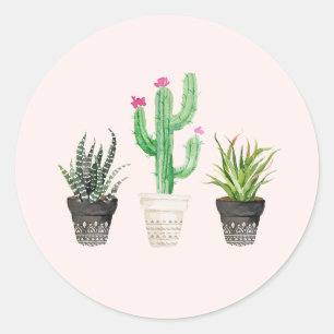 Desert Succulent Cactus Favor Stickers - Roze
