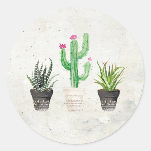 Desert Succulent Cactus Favor Stickers - Steen (Voorkant)