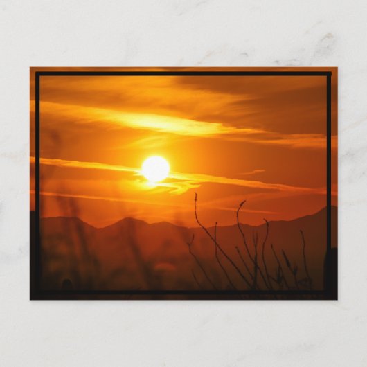 Desert Sun Briefkaart (Voorkant)