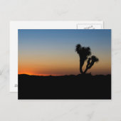 Desert Sunrise Briefkaart (Voorkant / Achterkant)