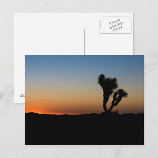 Desert Sunrise Briefkaart (Voorkant / Achterkant)