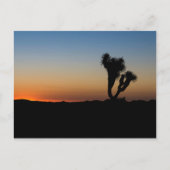 Desert Sunrise Briefkaart (Voorkant)