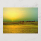 Desert Sunrise Collage Briefkaart (Voorkant)