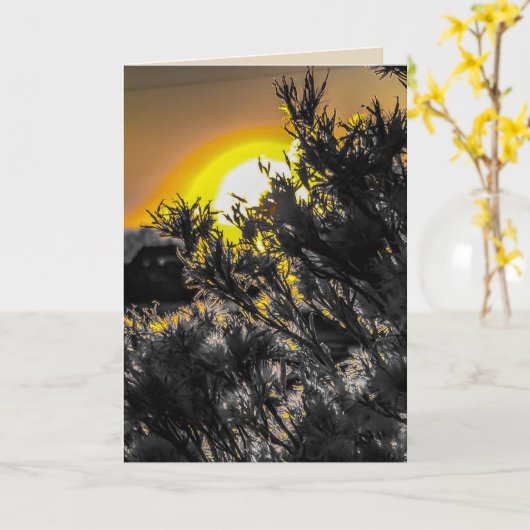Desert Sunset Blank Wenskaart Kaart (Gele Bloem)