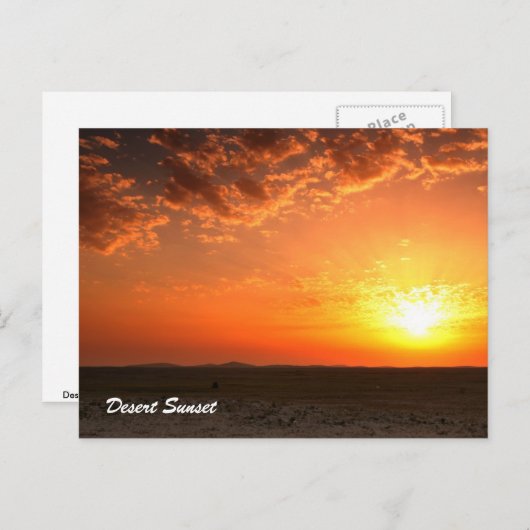 Desert Sunset Briefkaart (Voorkant / Achterkant)