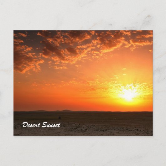 Desert Sunset Briefkaart (Voorkant)