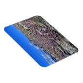 Desert Super Bloom 2019 Borrego Springs CA Magneet (Rechterzijde)